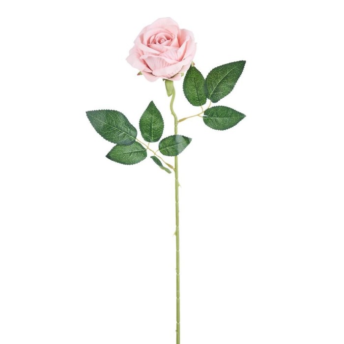 ROSA JULIET PINK CM50